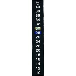  v  ANAE 1040 XebJ[  Ǘ  _J J ͒ ȒP