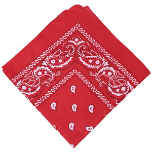  o_i fB[X Y XJ[t 唻 傫 55cm yCY[ 唻nJ` nJ` Op  킢  JoLx F