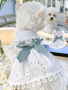 ybgps[X @lRhX ybg̕ tH[}hX@[Xs[X L lR  RX`[ L ʐ^ Be ϐgybgpi  j LO p[eB[  h