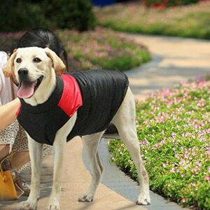  L~ ybgXL[EFA R[gh R[g WPbg ^ ^ ^ hbOEFA ~@ XL[EFA RbgxXg ybgxXg@S-7XL傫TCY@yVCO