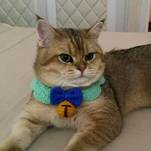 ybg̕   { x }t[ L lR  RX`[ L  ʋC _炩 RXvߑ ʔ ʐ^ Be  ȒP ւ ϐgObY ybgpi