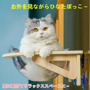 Lp FD zՌ^ nbN xbh L  xbh ͋z ω׏d20kg L    t^Cv zՃnbN ybgp L zՌ^ Lp FD nbN xbh ͋z Lxb