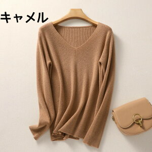 JV~ Z[^[ VlbN  JV~100 n    Z[^[ JV~A z[K[g Z[^[JV~A jbgZ[^[ fB[X i g _炩 y 