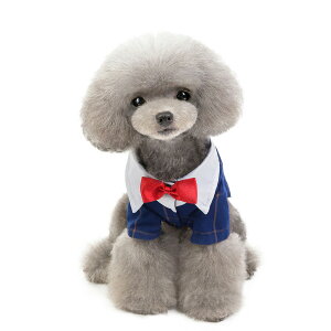 ^LV[h   㒅 ybgEGA ybg ̕  ybgpi XgCv@hbOEFA pi p ybgObY ʐ^ Be  j LO p[eB[  ^ tH[