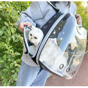 ybg obO ybgpL[obO @@ybgobO Lp L jR  ybgpi bNTbN@ubN yVCOʔ