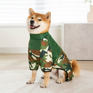 ^ ^ hbOEFA H ~   xXg WPbg R[g h іh~ ybgEFA g AE^[  o X^CbV