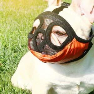 p  Z  Z@ p }Y  ʖih~ ݂h~ EH~ ?ݕȖh~ ݃OZ΍ Ȃߖh~ bV ʋCQ   ybgp}Y V[