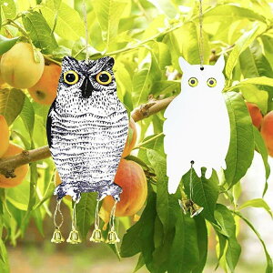 悯 tNE^ AorzCg  悯 ҋח ݂艺 x_  ng ng悯 \h  o[h h ˔ JX΍ h 炷悯 JX悯 ƒ؉ _Ɨpi 