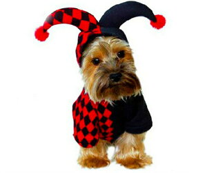 nEB @nEB@ ybg RXv nEB@ߑ   hbOEFA nEB ϐg RXvy@@nEB RXv@L@@ϐgzyڂ