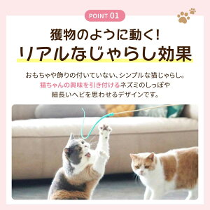 ybg pi L炵 lY~̐K [Ver2[ |XeBbN S3F 3Zbg VR S L̂ Lp L̃XgX L̊ߋ ^sP XgXy 