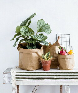 y[p[obO  Jo[ 25cm O[//i` ϗtA tFCNO[