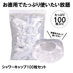 V[Lbv ĝ wALbv Lbv V[ wA[ J[ ߗp wAJ[p Tp Ɩp t[TCY jp  ѐߗp ze PE  100-SYAWACAP