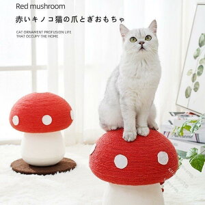 Lp܂Ƃ^[ ̂ Lp LmR Lbg^[@܂Ƃ|[ XgX 