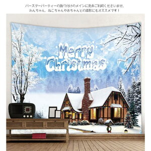^yXg[ 唻 Merry Christmas NX}Xc[ NX}X p[eB[ObY  傫 H~ HV