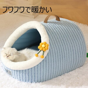ybgxbh g tt ~p pet bed h[^ H ~ tbg ybgnEX  L ~  pxbh Lpxbh 􂦂 ybgpxbh Ck lR u[ O[ CG