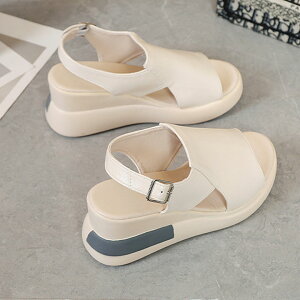 T_  fB[X  Vv  V[Y C ₷ ubN x[W V[Y C