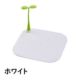 rJo[ raJo[ r W ӂ 15cm VR lp VN C  ʑ oX^u oX[ Lb` h rpi hL h 킢  ֗ACe Lb