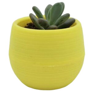  Aؔ t[|bg 󂯎Mt ~j n r ~ y  Vv  O ϗtA A K[fjO |pi CeAG F    [Y 