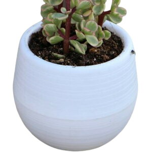  Aؔ t[|bg 󂯎Mt ~j n r ~ y  Vv  O ϗtA A K[fjO |pi CeAG F    [Y 