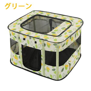 ybgT[N L  P[W LnEX Lxbh eg  L ʋC ybg[  P[WbVt  O LT[N ybgP[W P[W L̕؎   