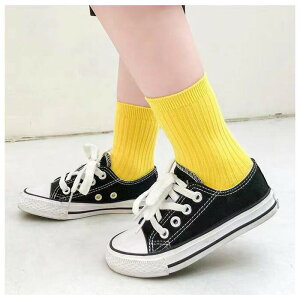 qpC _Xpi C 3Zbg 1`4 5`8 9`12 t H ~  ̎q j̎q n C qp C bh o sN p[v IW CG[ u[ O[ C ^