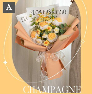 ʂ݉ԑ j҂ i ҂ݕ ͂Ȃ o fCW[ ю ԑ  jbgԑ 킢  w j z V ̓ hV̓  ԑ JXj Ǝ 