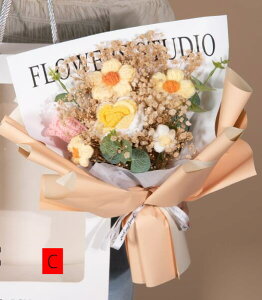  jbgԑ ю̉ԑ [Yu[P o JX~\E fCW[ ͂Ȃ ҂݉ԑ v[g Mtg  w j z V aELOEhV̓  ԑ 