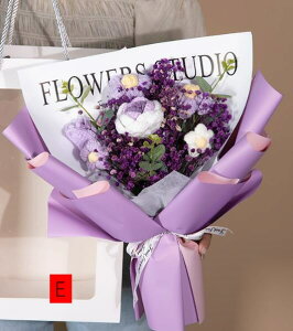  jbgԑ ю̉ԑ [Yu[P o JX~\E fCW[ ͂Ȃ ҂݉ԑ v[g Mtg  w j z V aELOEhV̓  ԑ 