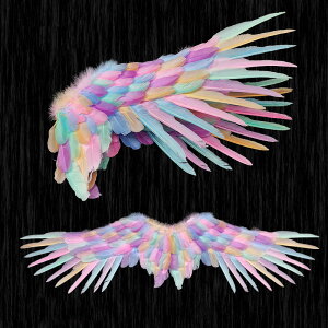  Vg̗ RX`[p nEBe[} p[eB[ RXvߑ ANZT[ _  H   DIY  Y fB[X Jt yVCOʔ