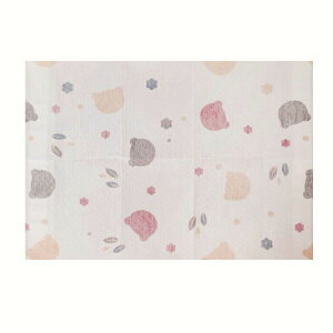  50 ĝăv[X}bg 40x30cm  placemat ĝă`}bg e[u}bg z Ooɕ֗ _炩 xr[ k Ԃ ̎q j̎q c ۈ牀 