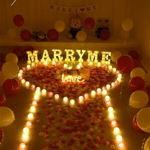  }[L[Cg 20cm 22cm CjVCg Pi̔  At@xbg  dr LEDCg v CeA Ղ NX}X Cxg  p[eB[ Mtg a