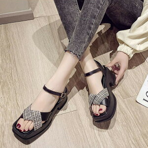 T_ NXXgbv ؍t fB[X r `L[q[ T_ ANXgbv XNGAgD RtH[gV[Y Ȃ miniministore 80TONGTAI-018