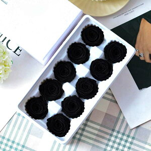  vU[uht[ 110֓ ỉ i ͂Ȃ o Mtg KN [Y v[g hCt[ Ǝ ̓ l l a j  ޏ LO 