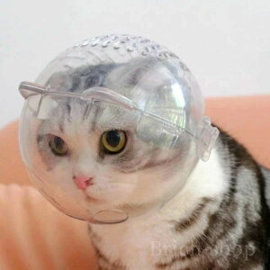 Lp}XN ybg}XN Lp}XN ˂ L  EHh~ rߖh~ | V[