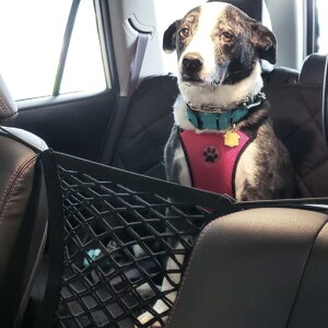 qybgƈꏏɉ^]ĂS tȒP gbNp jo[T ԂpLkXg[WobO [KiCU[