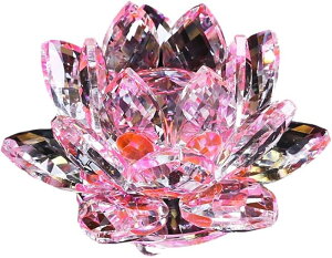 NX^KX  @̉ [^X TLb`[  J^ CeA vY d  IuWF Mtg v[g (O[)