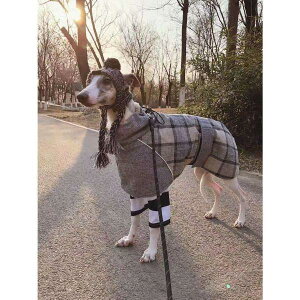 C^O   H~ g h `FbNI[o[R[g ^ ^ C^AO[nEh