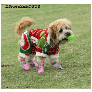  C C C ̌C Up pC hbOV[Y ybgC ی h~ ~ EȂ pV[Y y V ^