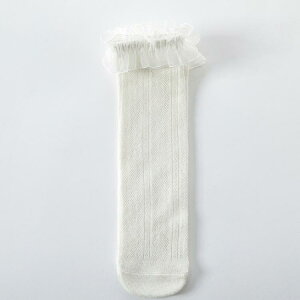 nC\bNX zCg LbY   킢 Ăh~   t  q C n O bV  [X ̎q \bNX qǂ ǂ tH[}  w 