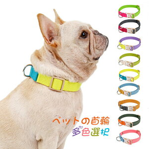   ̎ L Lp p U FIł ɂȂ y ^ ^ ybgpi qL Č ` v[g Lpi   т y qD   