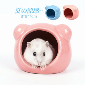 nX^[ nEX nX^[xbh   nX^[nEX F^   đ΍ Ђ xbh ւ  nX^[P[W X Q lGʗp  nlY~ B n