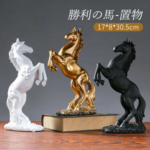 u CeA IuWF G   I[ig N K[fjO  u 踍 n A tBMA S[WX [bp 㒤 n̑ ׍H ii AC