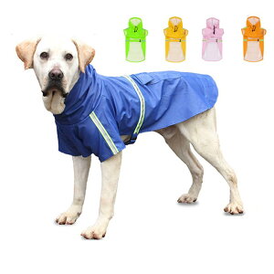   CR[g |` Č ybgpi J ^ ^ h y ˃e[vt ^ t[h S t 킢p hbOEFA   ̃Jbp JH  