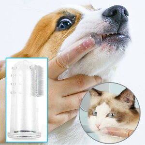 qLN[jOpi V C{C{t ybguV Lp ybgpwuV ݂V[g \tgu oPA VR