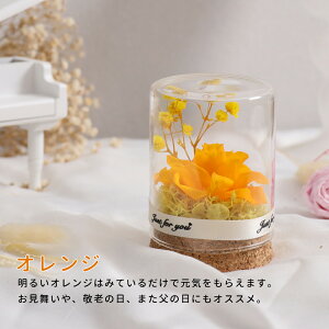 vU[uht[ Mtg ԑ o v[g ͂Ȃ {gt[ av[gEjE\E蕨 KXh[ ̓ ޏ  v[g a j 