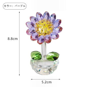 Ђ܂̒u   IuWF 킢   ڗ VR CeAXg[ NX^   H|i   rO Q j | ObY 