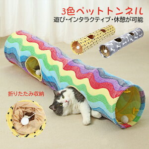 Lgl Lbggl  ^s ܂ XgXU ^s ybgߋ ybgpi 3F 킢  L̂ L炵  glߋ 