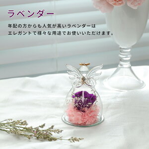 vU[uht[ Mtg Vg ԑ o v[g ͂Ȃ {gt[ av[gEjE\E蕨 KXh[ ̓ ޏ  v[g a 