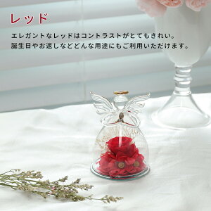 vU[uht[ Mtg Vg ԑ o v[g ͂Ȃ {gt[ av[gEjE\E蕨 KXh[ ̓ ޏ  v[g a 