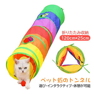 Lgl Lbggl L ^s 4t ܂ XgXU ^s ybgߋ ybgpi 120cm F  ϋv pI v    